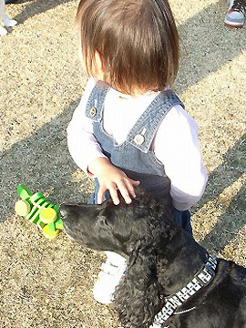 08112905ul.jpg